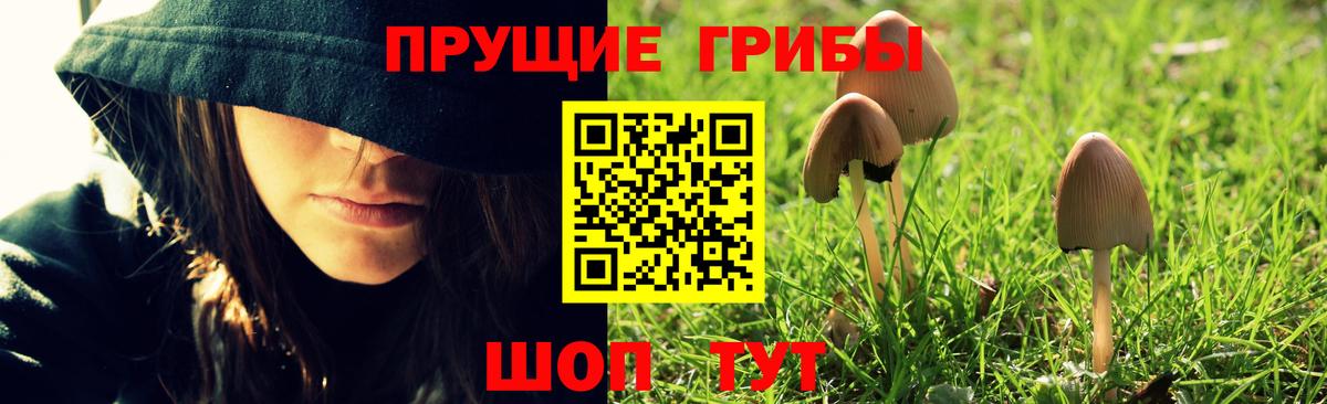 Галлюциногенные грибы GOLDEN TEACHER  Вход с VPN  купить наркоту  Галлюциногенные грибы Psilocybine cubensis  Воронеж 